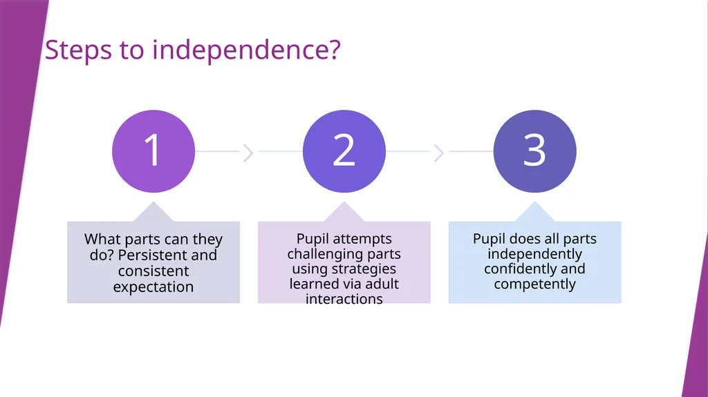 Scaffolding RBWM Teaching Assistant Training Anne - slide 6 of 14