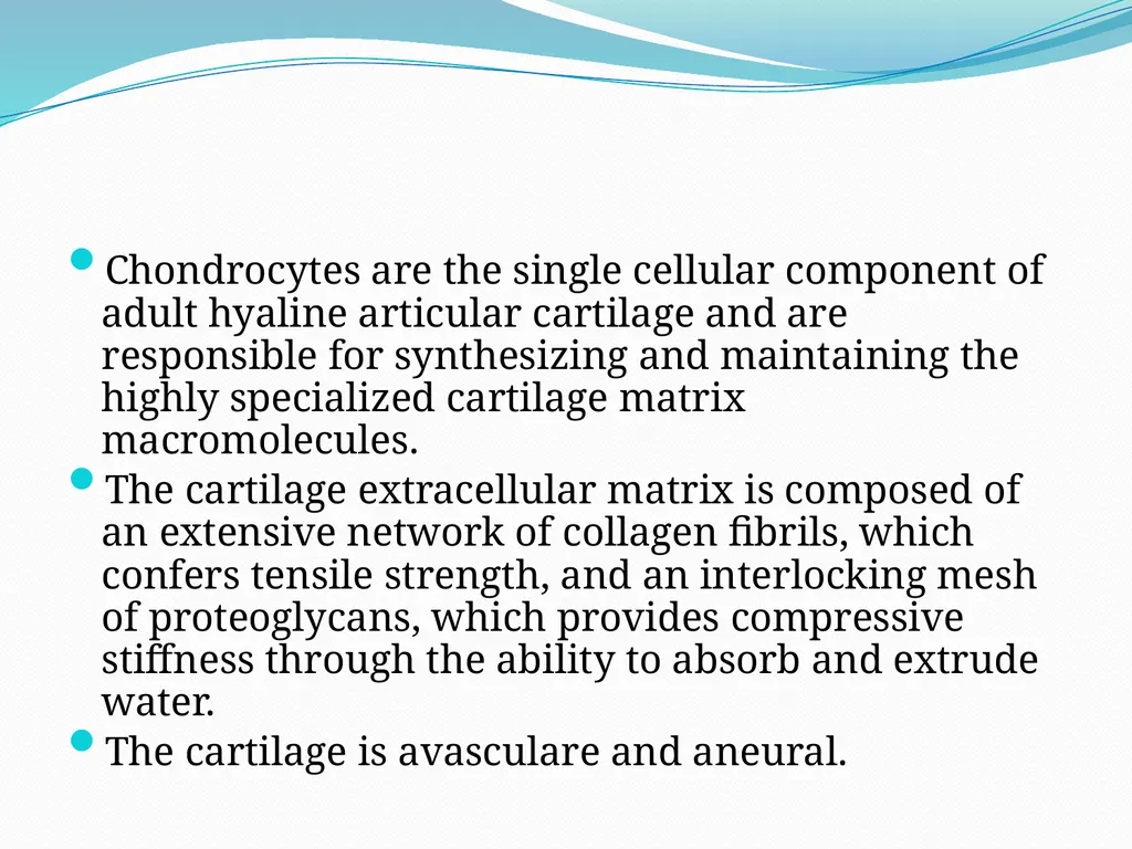 STRUCTURE AND FUNCTION OF BONE, JOINTS AND - slide 9 of 26