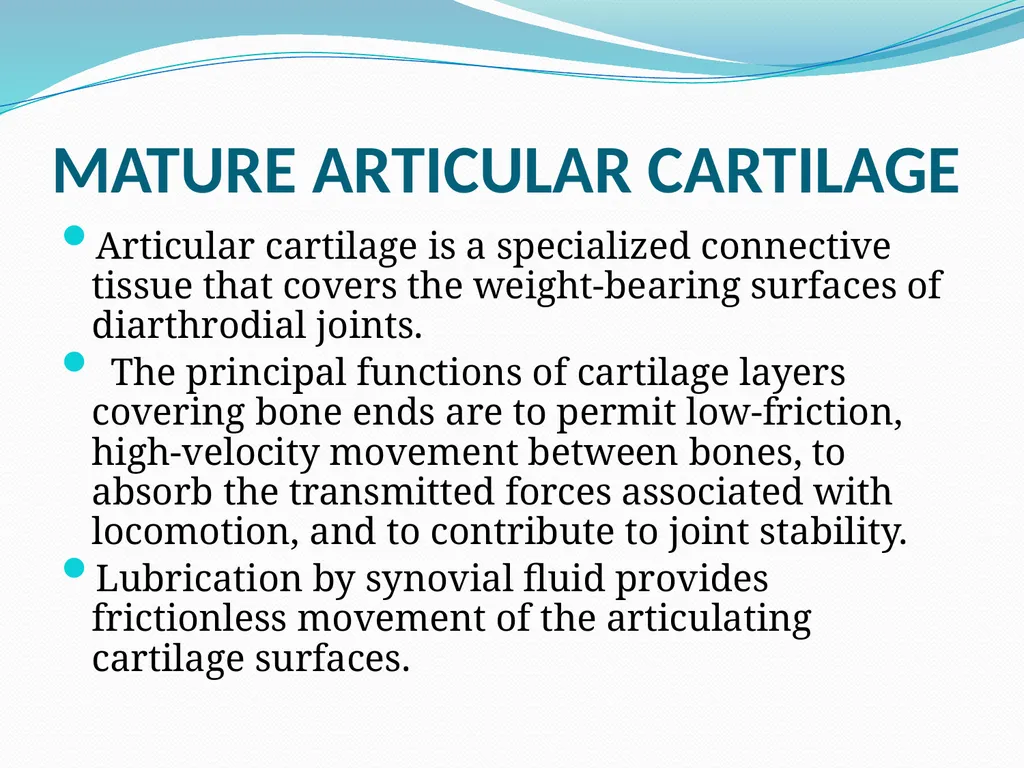 STRUCTURE AND FUNCTION OF BONE, JOINTS AND - slide 8 of 26