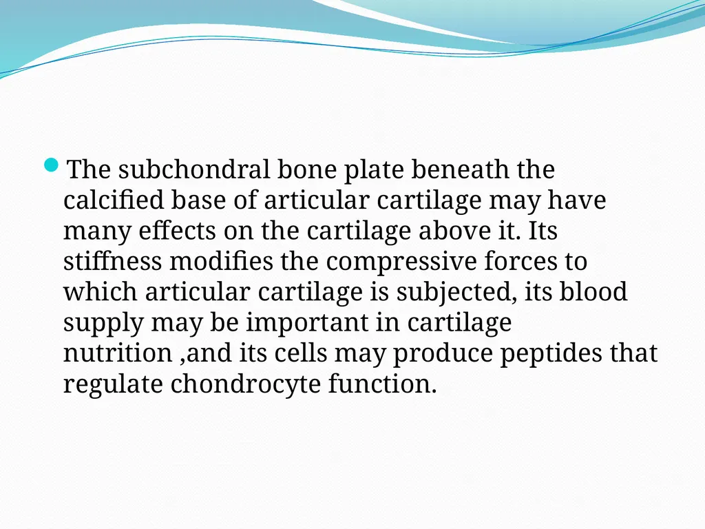 STRUCTURE AND FUNCTION OF BONE, JOINTS AND - slide 13 of 26