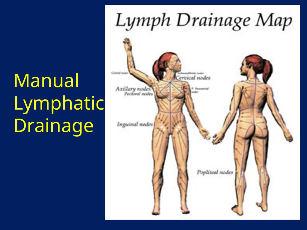 Lymphatic Disorders References Therapeutic - slide 20 of 44