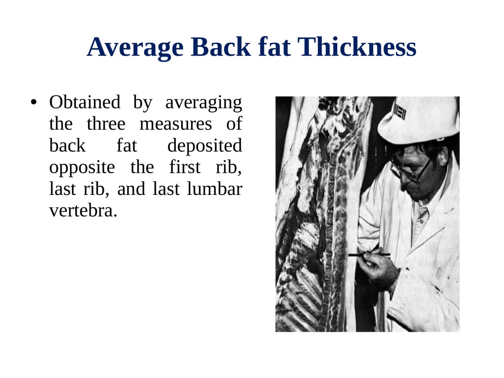 EVALUATION, GRADING AND FABRICATION OF DRESSED - slide 5 of 24