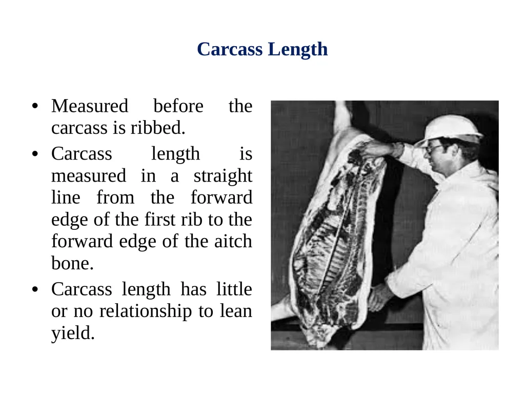 EVALUATION, GRADING AND FABRICATION OF DRESSED - slide 4 of 24
