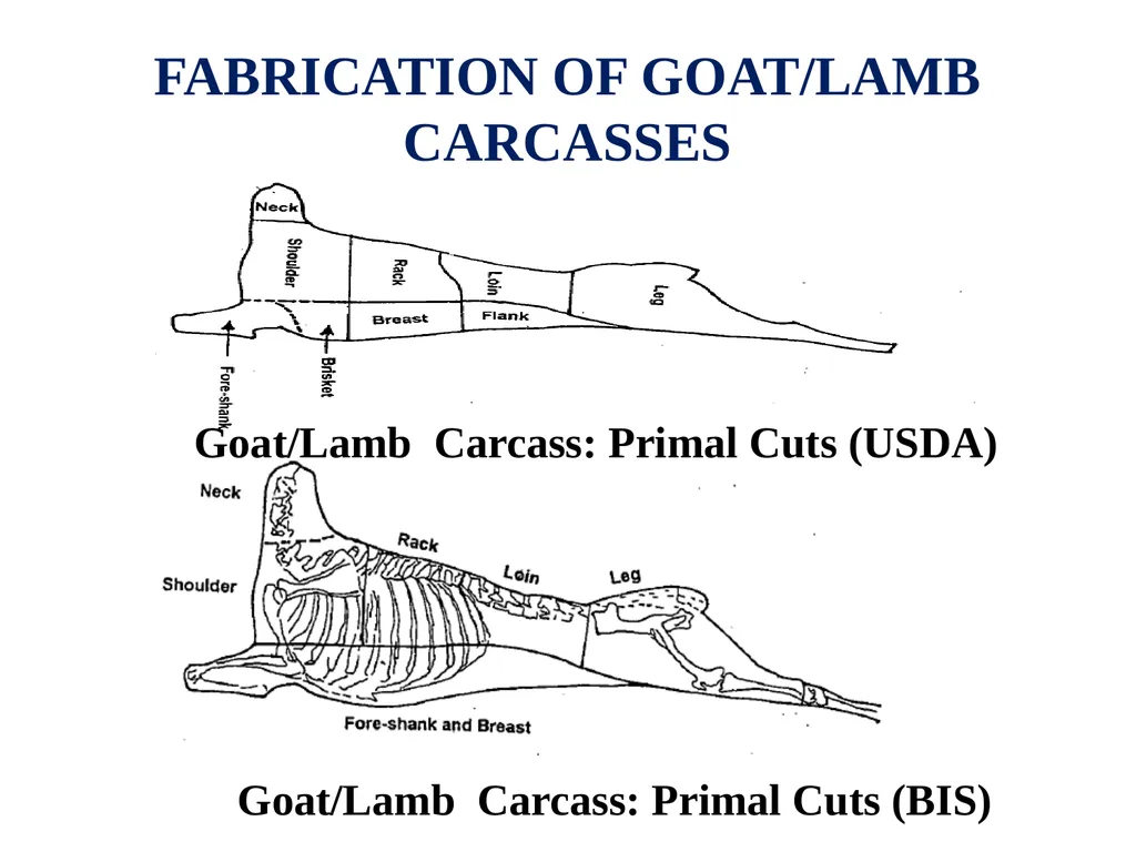 EVALUATION, GRADING AND FABRICATION OF DRESSED - slide 23 of 24