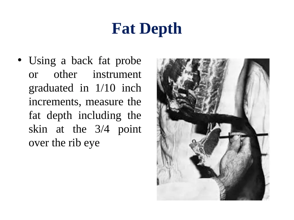 EVALUATION, GRADING AND FABRICATION OF DRESSED - slide 8 of 24