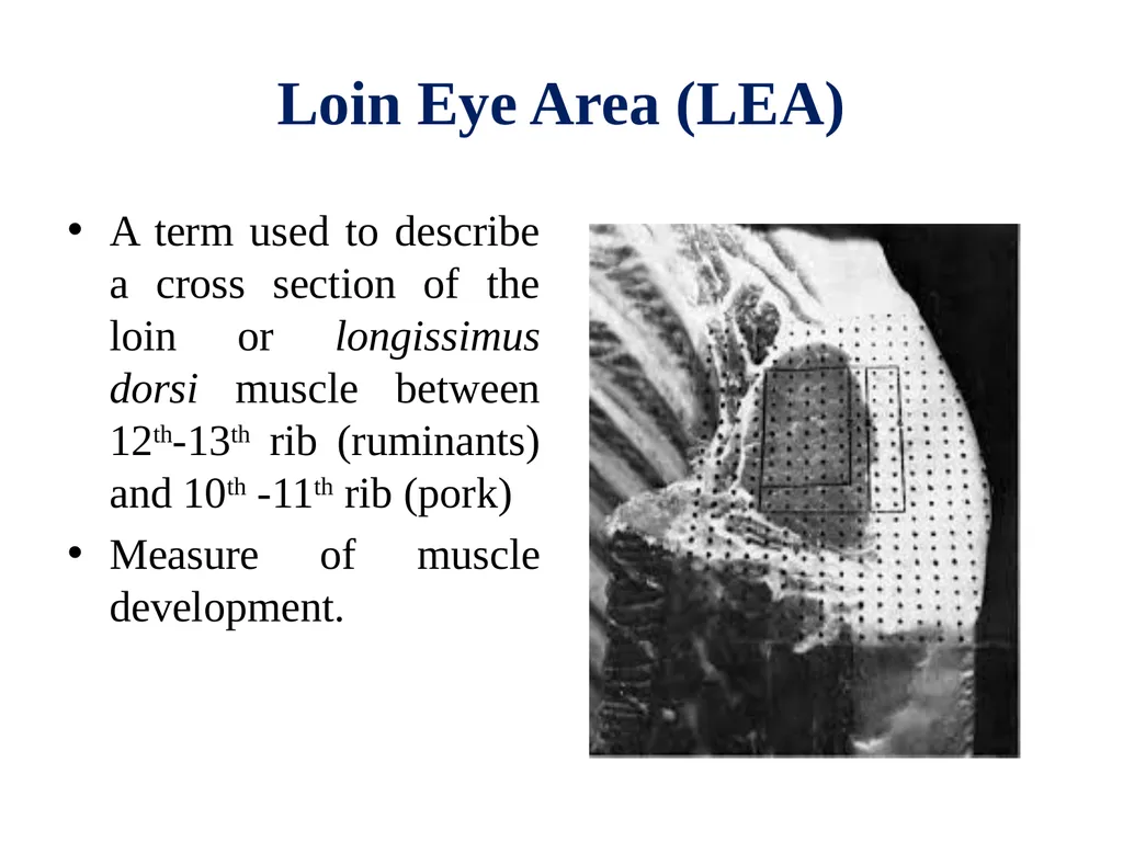 EVALUATION, GRADING AND FABRICATION OF DRESSED - slide 7 of 24