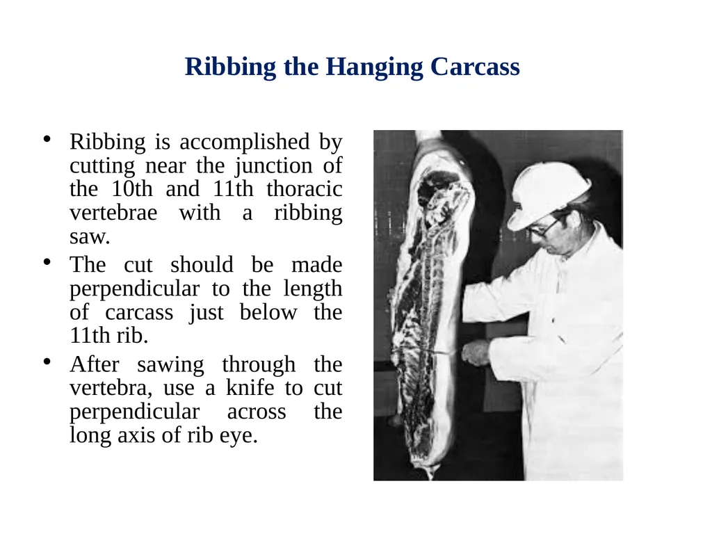 EVALUATION, GRADING AND FABRICATION OF DRESSED - slide 6 of 24
