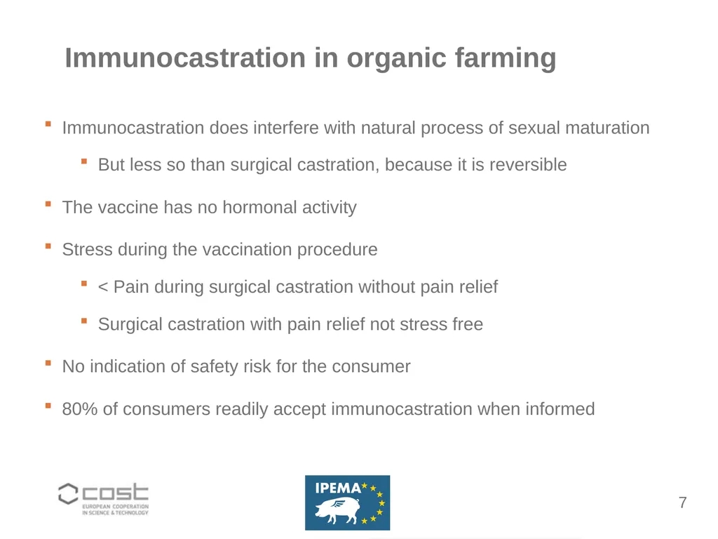 Ending castration of piglets Gé Backus Connecting - slide 7 of 12