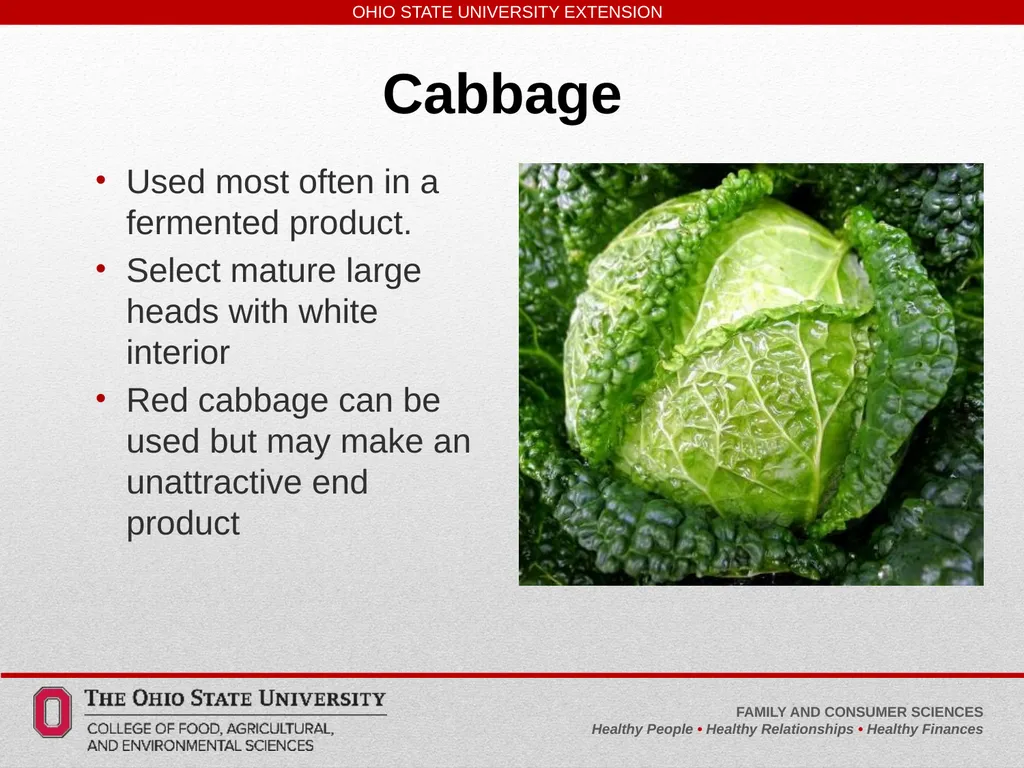 Safe, Simple, Easy to Learn Pickled and Fermented - slide 9 of 30