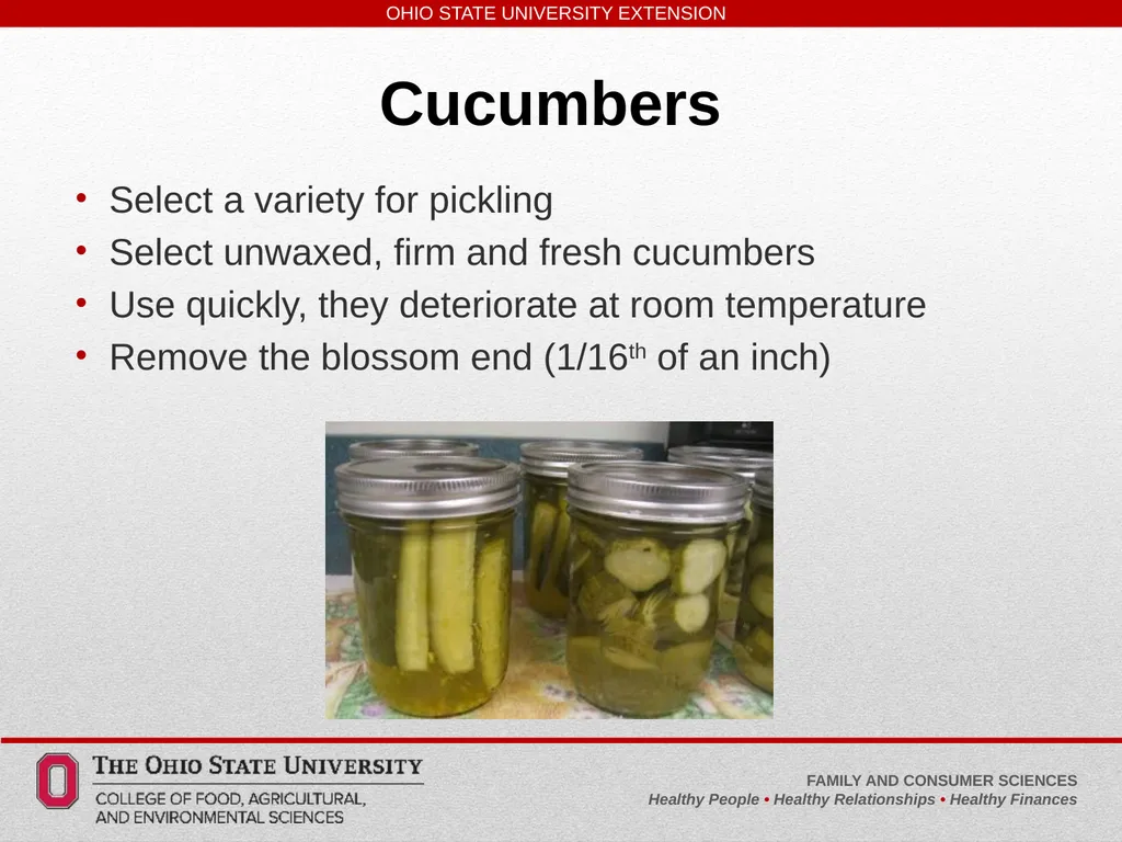 Safe, Simple, Easy to Learn Pickled and Fermented - slide 10 of 30