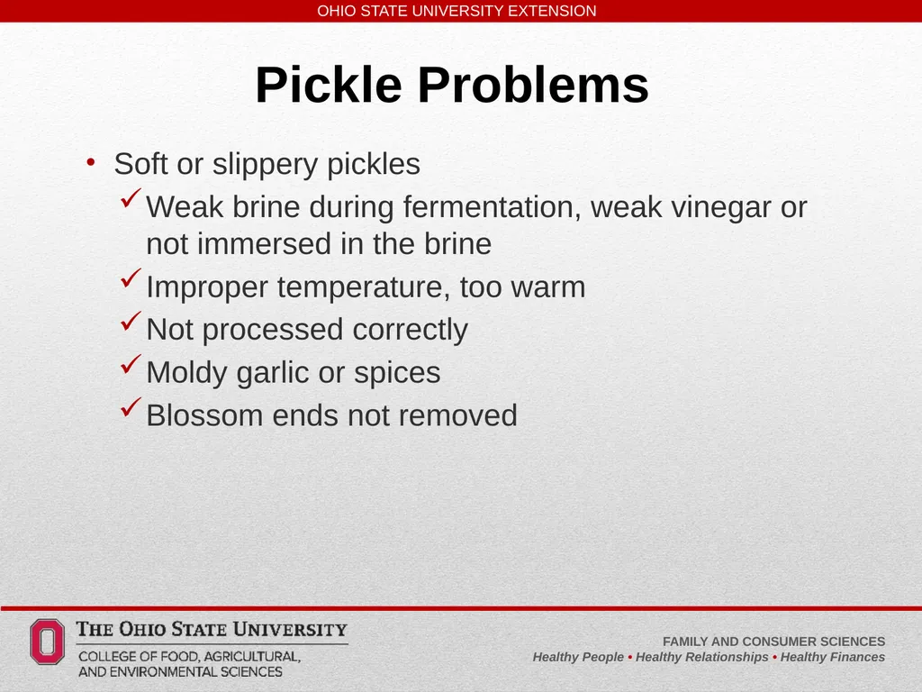 Safe, Simple, Easy to Learn Pickled and Fermented - slide 22 of 30
