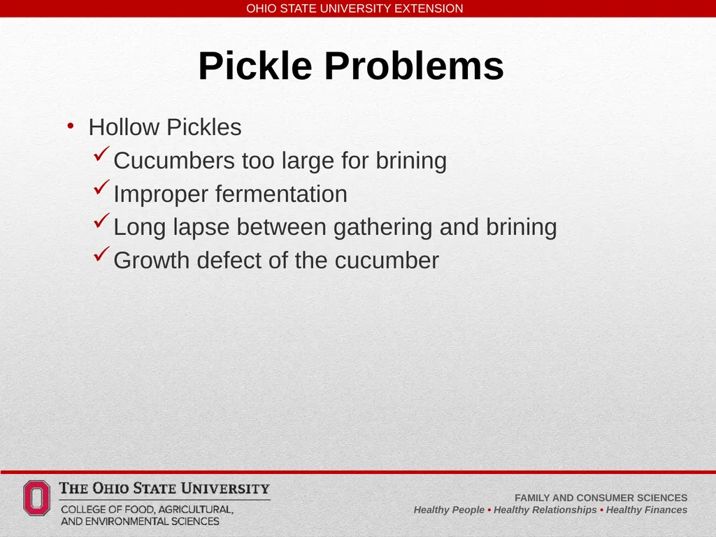 Safe, Simple, Easy to Learn Pickled and Fermented - slide 23 of 30