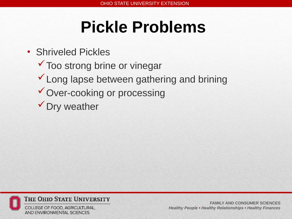 Safe, Simple, Easy to Learn Pickled and Fermented - slide 24 of 30