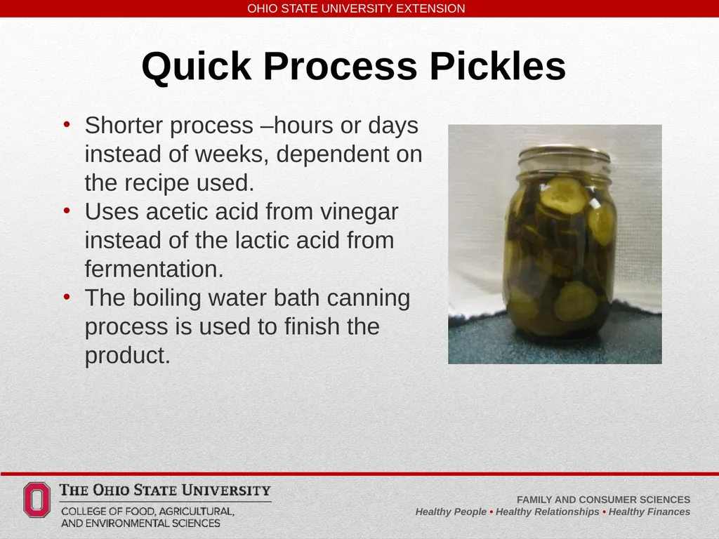 Safe, Simple, Easy to Learn Pickled and Fermented - slide 16 of 30