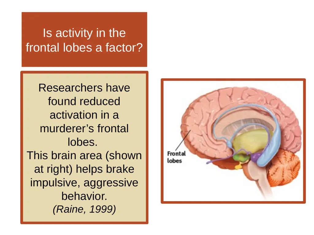 Unit 12 Abnormal Behavior Module 69 Other - slide 25 of 41