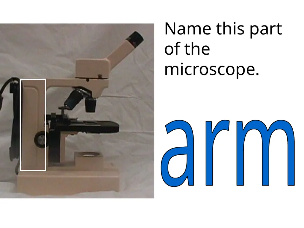 In what phase is cell #1? prophase Name this part - slide 2 of 27