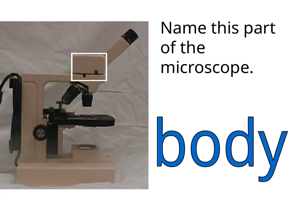 In what phase is cell #1? prophase Name this part - slide 4 of 27