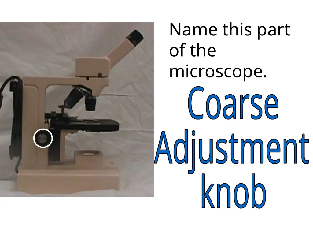 In what phase is cell #1? prophase Name this part - slide 6 of 27