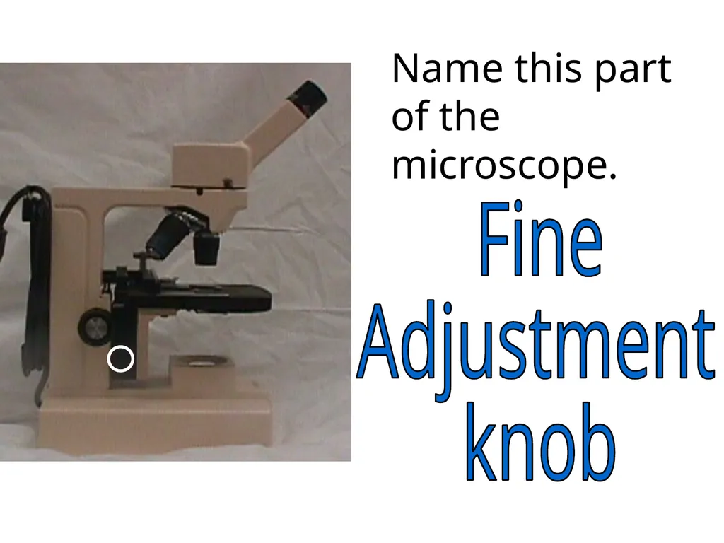 In what phase is cell #1? prophase Name this part - slide 8 of 27