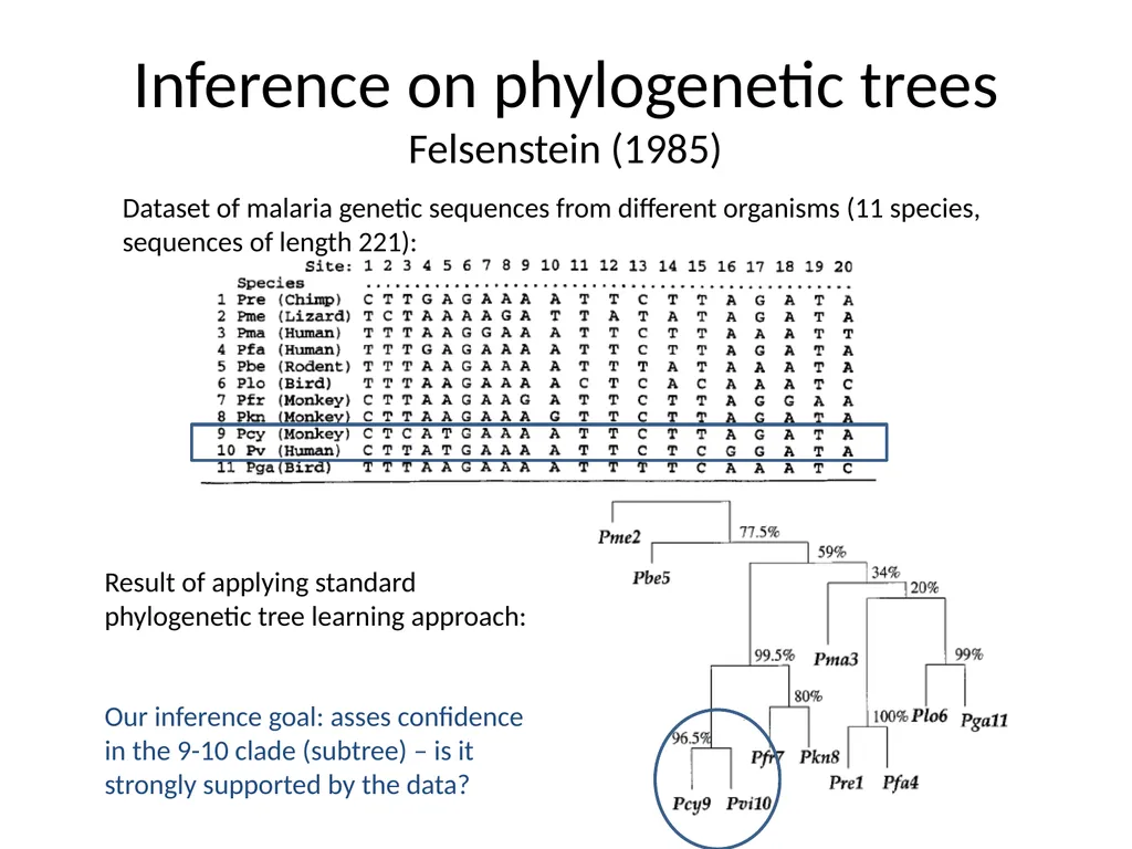 Bootstrap – The Statistician’s Magic Wand Saharon - slide 17 of 25