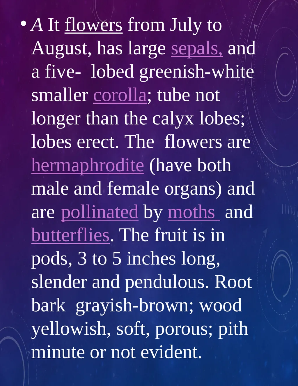 Apocynum Cannabinum Introduction: The dropsies of - slide 5 of 15