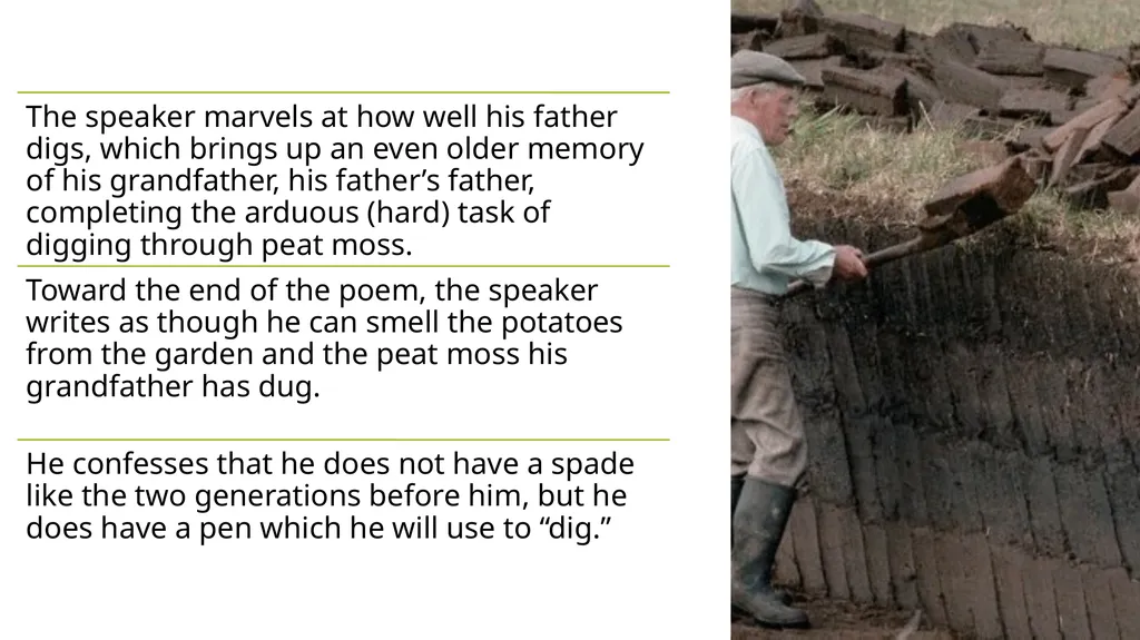 Digging Seamus Heaney Digging by Seamus Heaney - slide 6 of 9