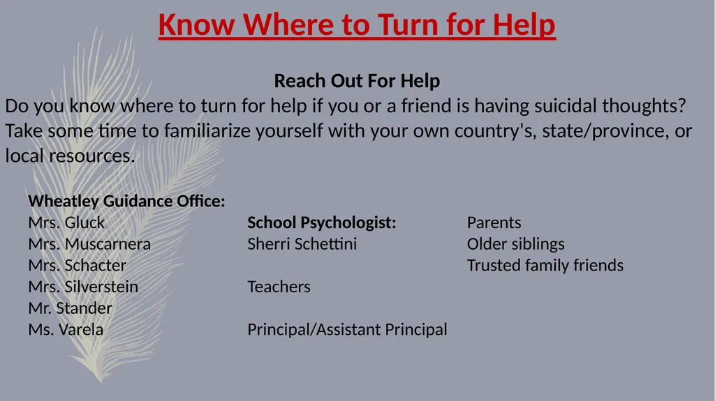 Suicide Prevention General Statistics (USA) - slide 8 of 9