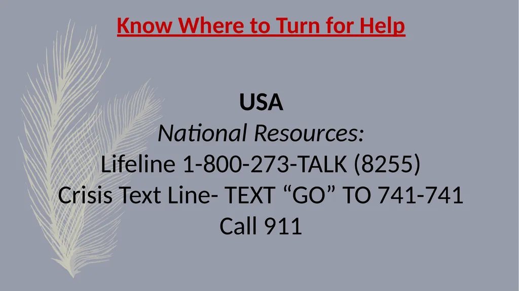 Suicide Prevention General Statistics (USA) - slide 9 of 9
