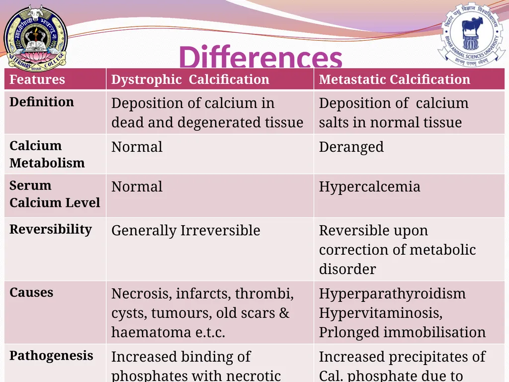 PATHOLOGICAL CALCIFICATION KAUSHAL KUMAR Assistant - slide 10 of 11