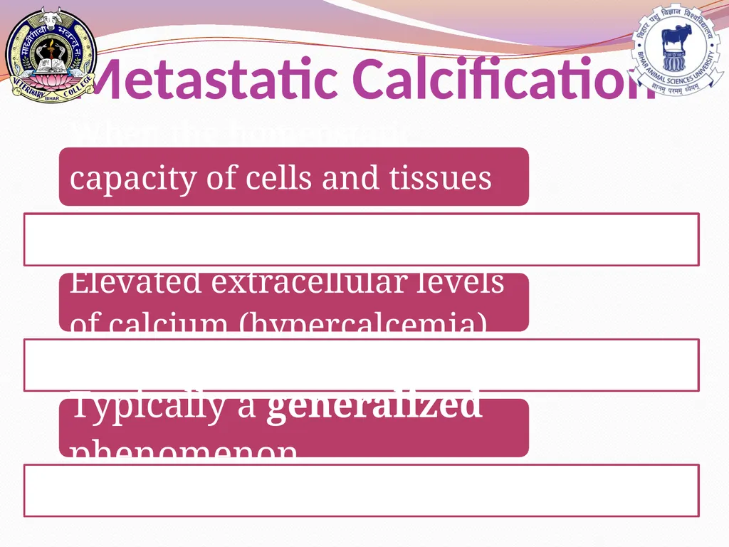 PATHOLOGICAL CALCIFICATION KAUSHAL KUMAR Assistant - slide 7 of 11