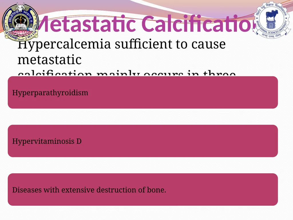 PATHOLOGICAL CALCIFICATION KAUSHAL KUMAR Assistant - slide 8 of 11