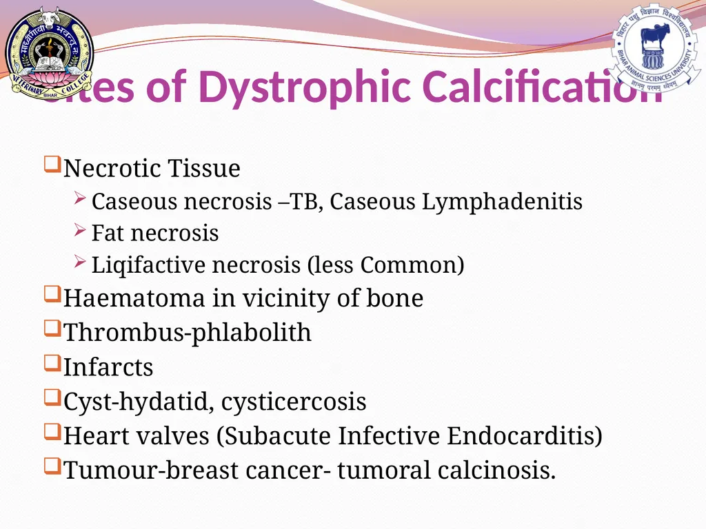 PATHOLOGICAL CALCIFICATION KAUSHAL KUMAR Assistant - slide 6 of 11