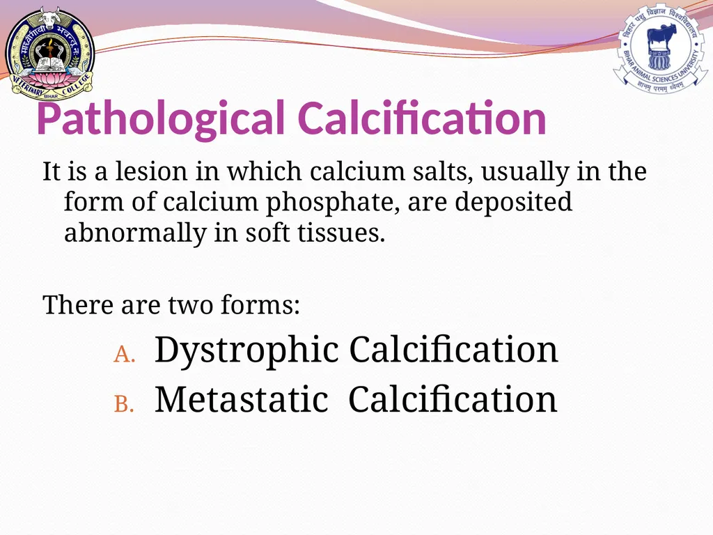 PATHOLOGICAL CALCIFICATION KAUSHAL KUMAR Assistant - slide 2 of 11