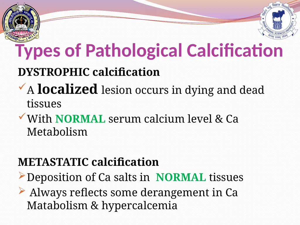 PATHOLOGICAL CALCIFICATION KAUSHAL KUMAR Assistant - slide 4 of 11