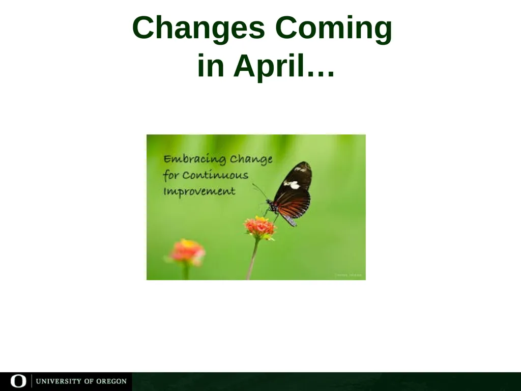 Concur Travel Coordinator Training Laurie Jacoby - slide 4 of 15