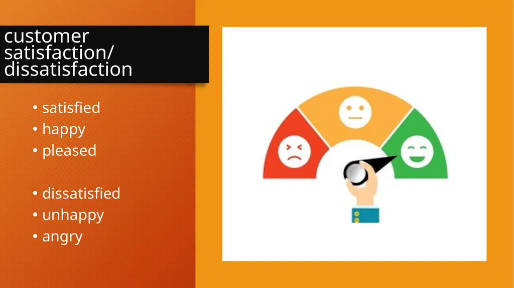 COMPLAINTS UNIT 12 customer satisfaction/ - slide 2 of 19