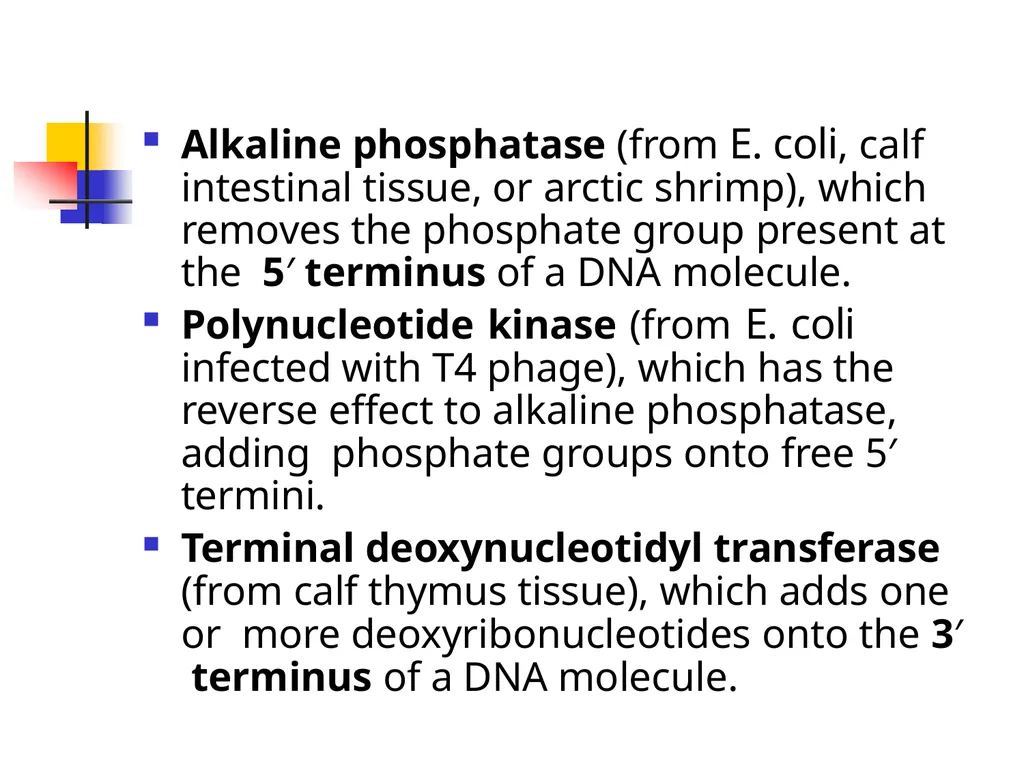 Presented By: P D R SATISH ASSISTANT PROFESSOR - slide 34 of 36