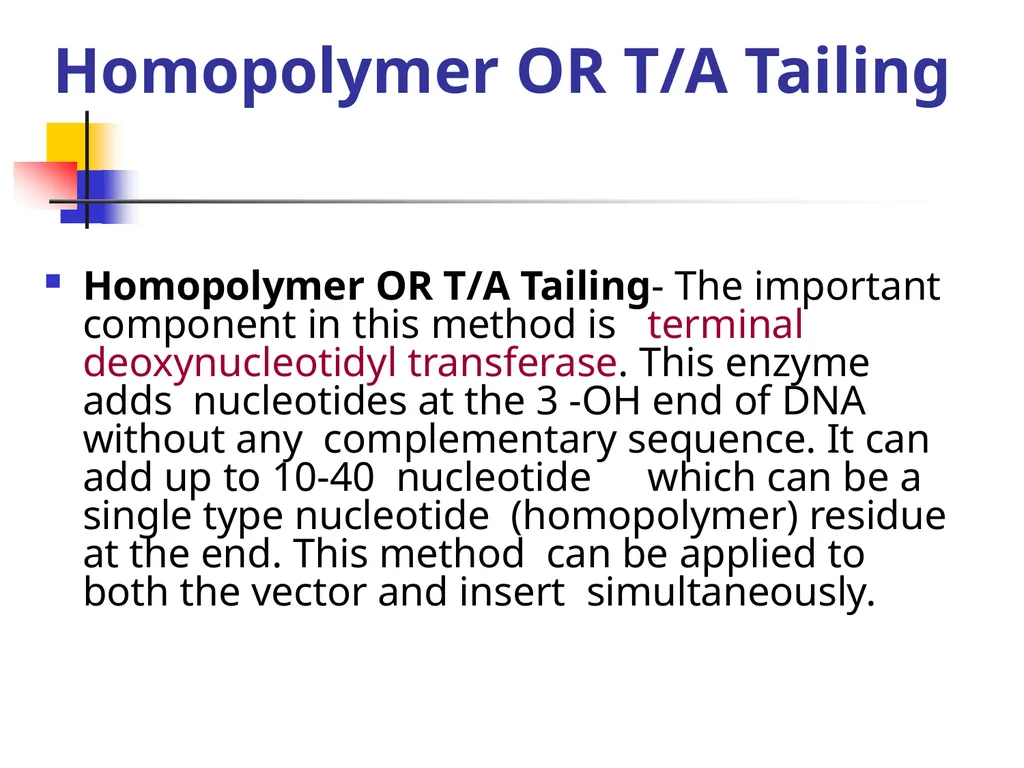 Presented By: P D R SATISH ASSISTANT PROFESSOR - slide 35 of 36