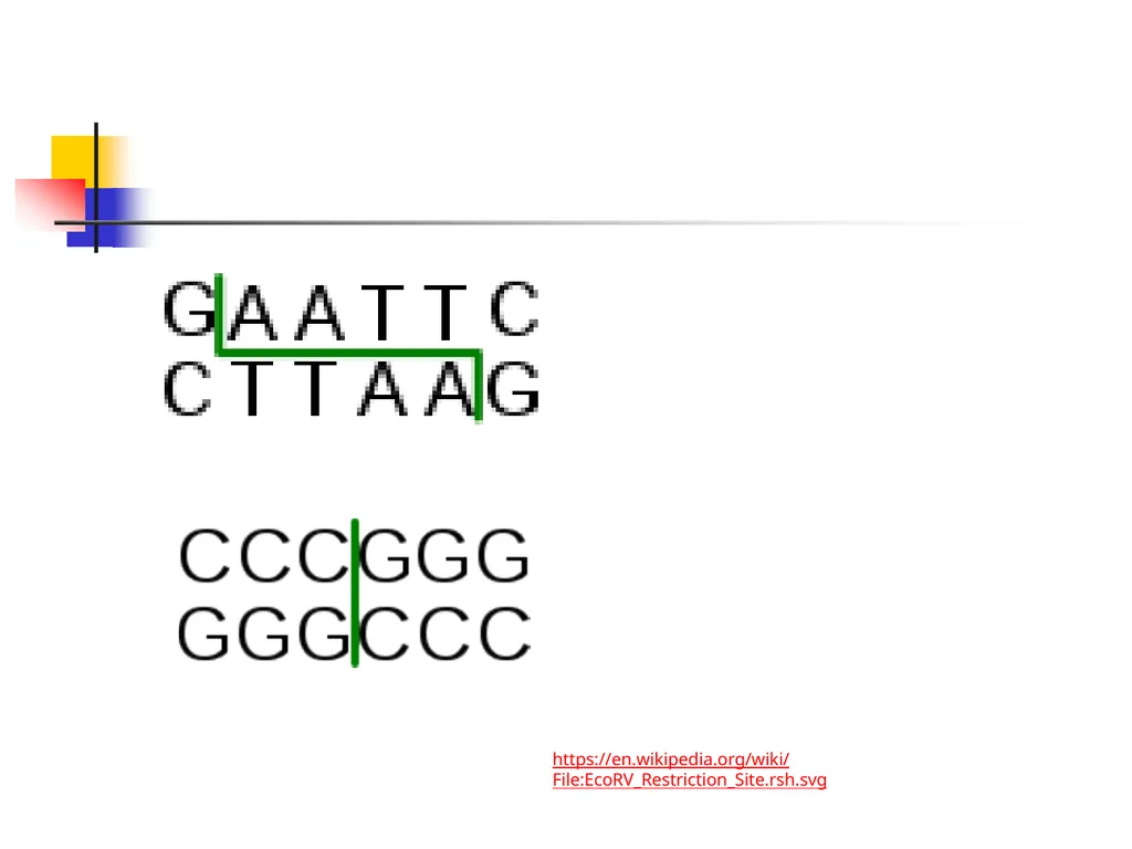 Presented By: P D R SATISH ASSISTANT PROFESSOR - slide 18 of 36