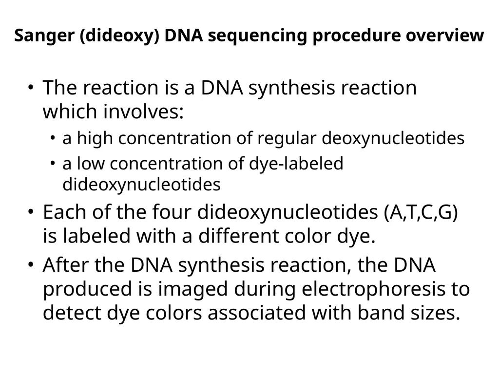 deoxynucleotide (dNTP) A B The reaction is a DNA - slide 2 of 7