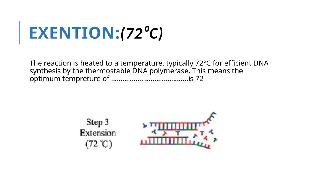 Polymerase Chain Reaction molecular photocopying! - slide 9 of 23