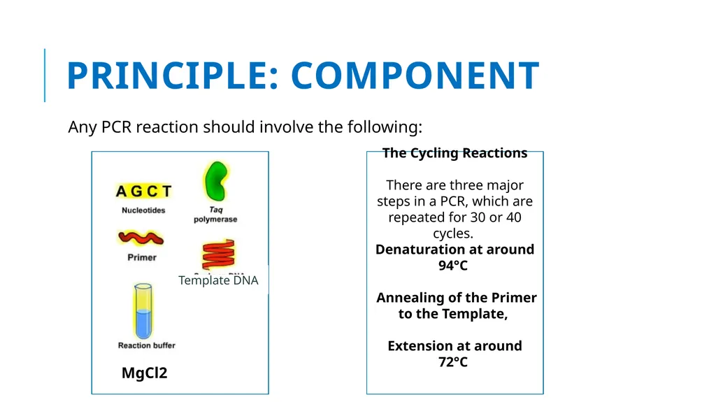Polymerase Chain Reaction molecular photocopying! - slide 6 of 23