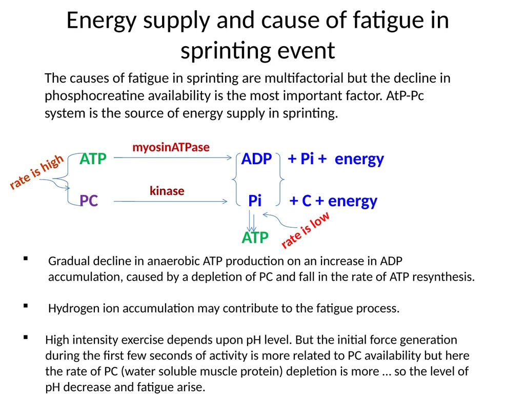 LOAD RECOVERY & ADAPTATION – A SCIENTIFIC APPROACH - slide 5 of 24
