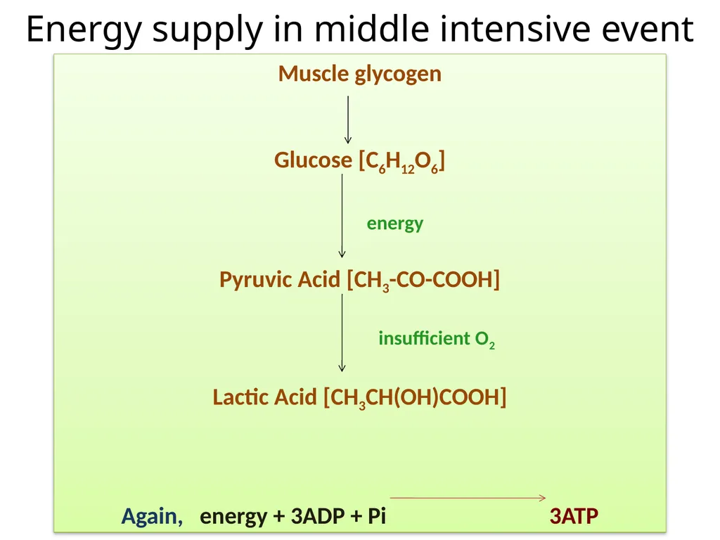 LOAD RECOVERY & ADAPTATION – A SCIENTIFIC APPROACH - slide 9 of 24