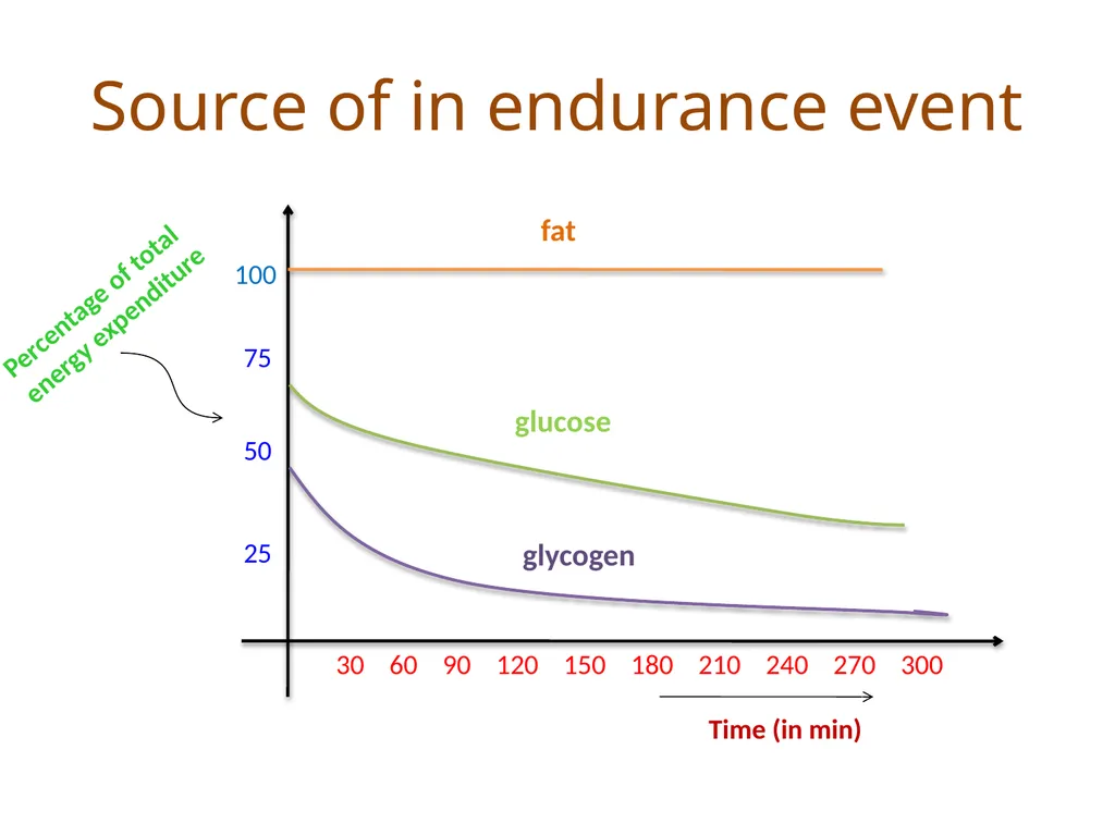 LOAD RECOVERY & ADAPTATION – A SCIENTIFIC APPROACH - slide 16 of 24