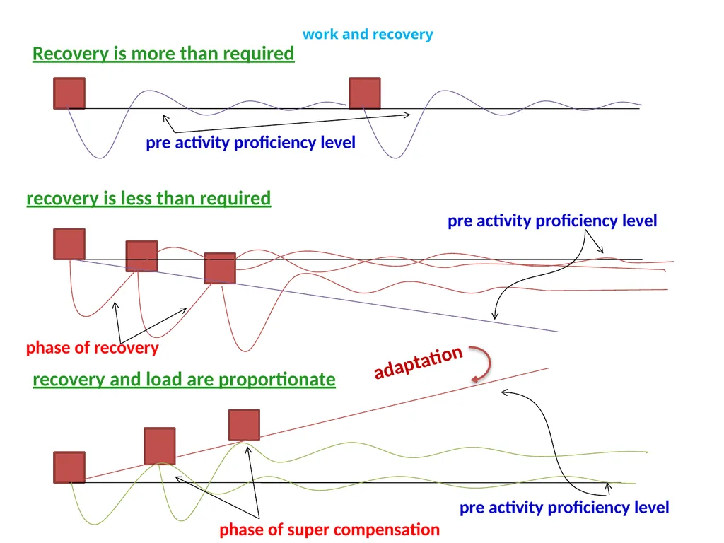 LOAD RECOVERY & ADAPTATION – A SCIENTIFIC APPROACH - slide 23 of 24