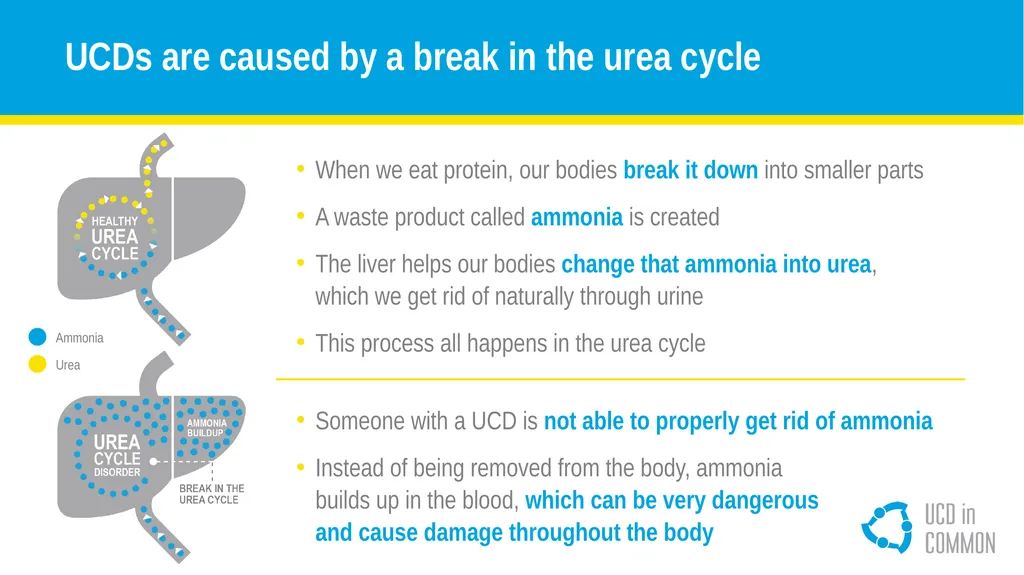[Name] and [his/her] UCD How to use this - slide 6 of 18
