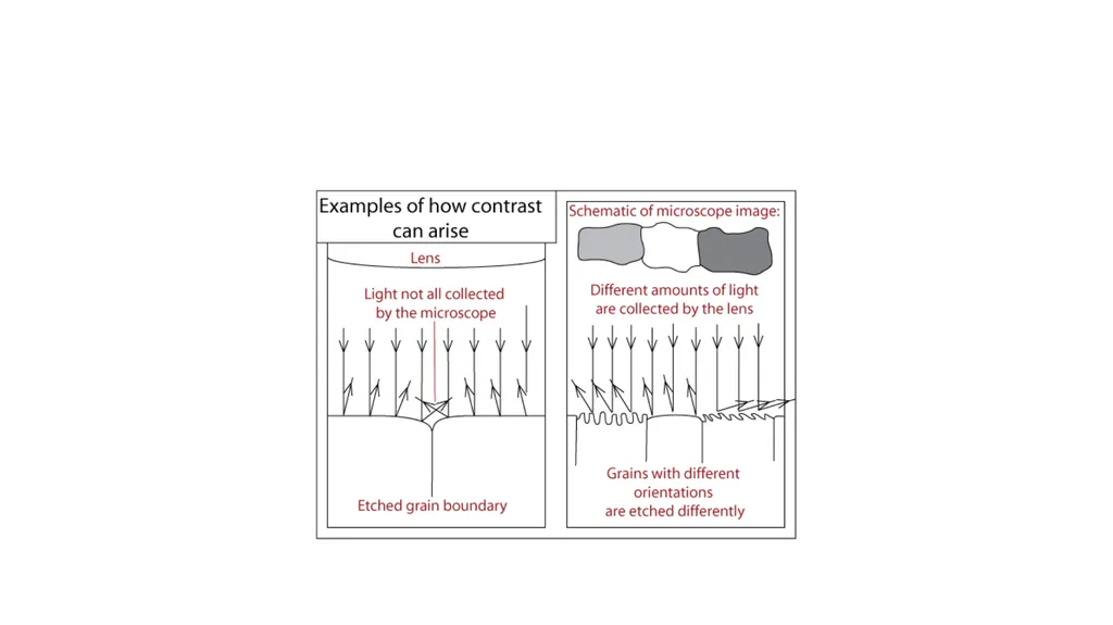 Specimen preparation in EM There are two reasons - slide 9 of 10
