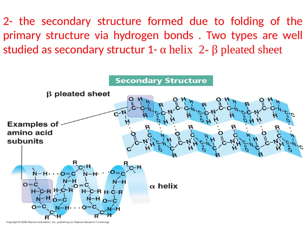 Lecture 13 :Protein synthesis TRANSLATION Proteins - slide 9 of 26