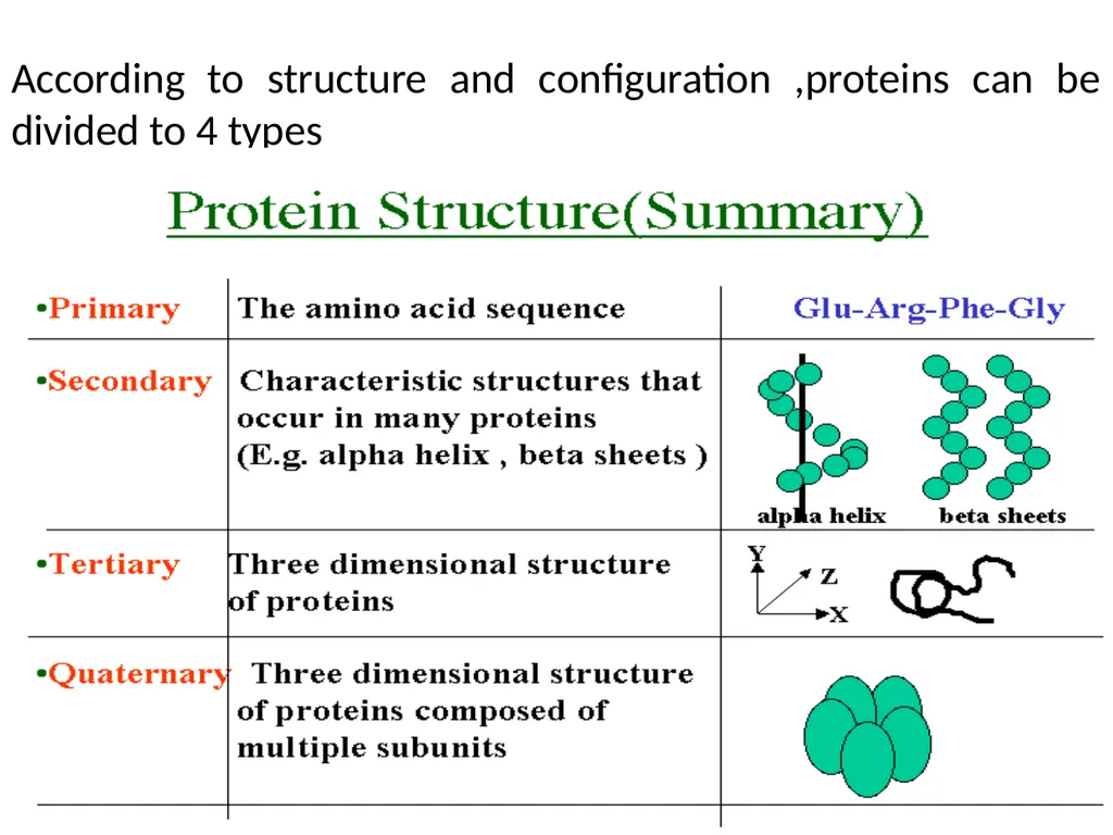 Lecture 13 :Protein synthesis TRANSLATION Proteins - slide 8 of 26